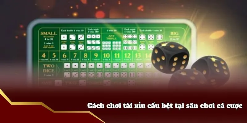 Cách chơi tài xỉu cầu bệt tại sân chơi cá cược