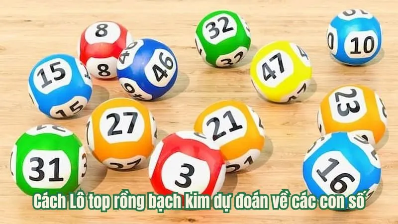 Cách Lô top rồng bạch kim dự đoán về các con số