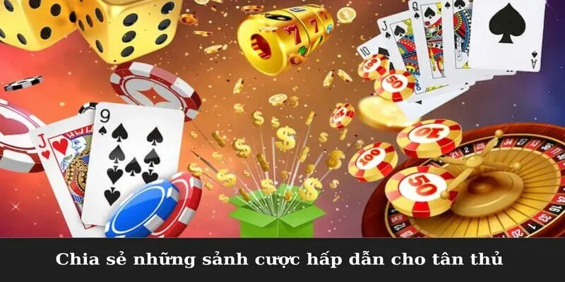 Chia sẻ những sảnh cược hấp dẫn cho tân thủ
