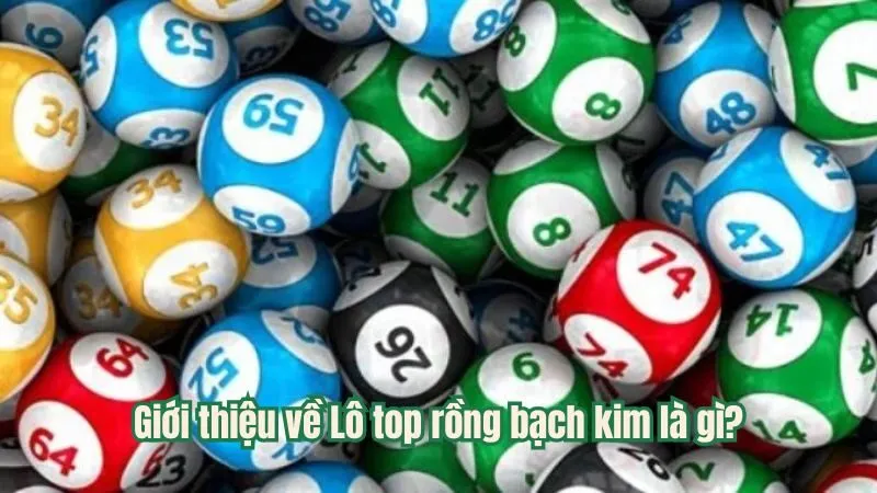 Giới thiệu về Lô top rồng bạch kim là gì?