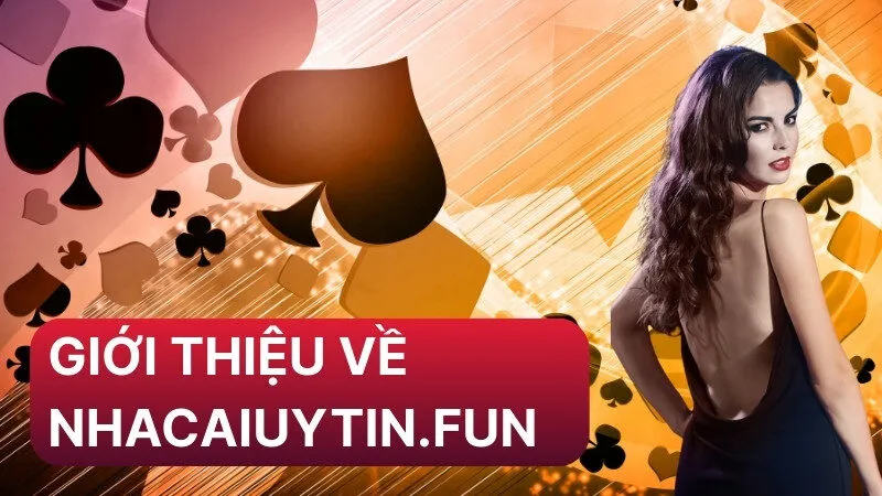 Giới thiệu về Nhacaiuytin.fun