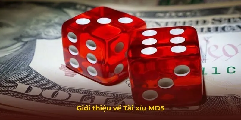 Giới thiệu về Tài xỉu MD5