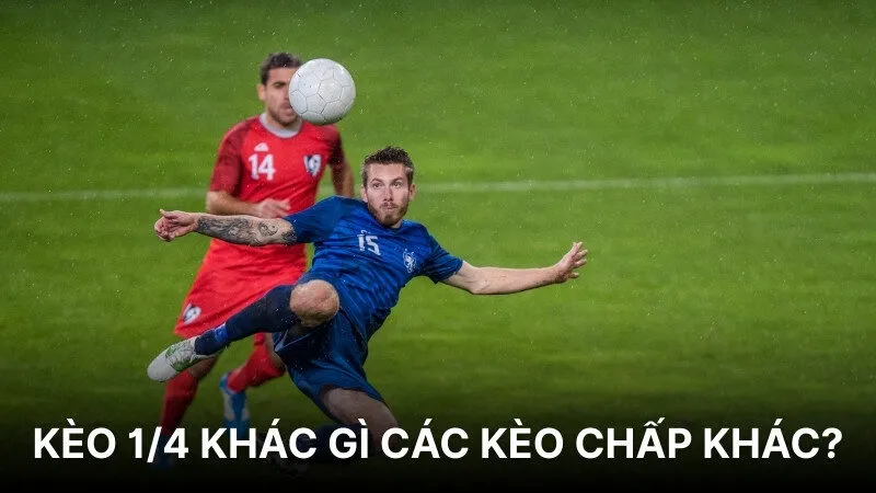 Kèo 1/4 khác gì các kèo chấp khác?