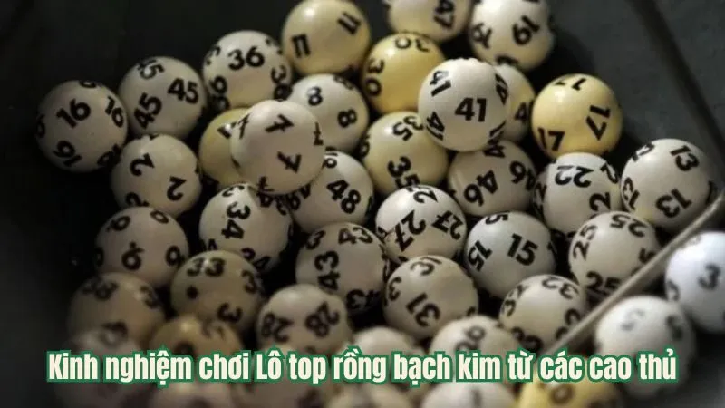 Kinh nghiệm chơi Lô top rồng bạch kim từ các cao thủ