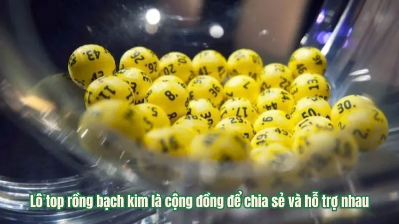 Lô top rồng bạch kim là cộng đồng để chia sẻ và hỗ trợ nhau