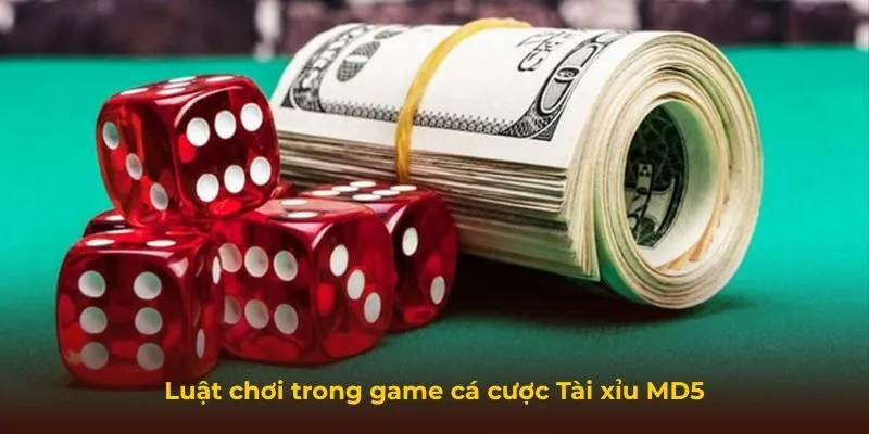 Luật chơi trong game cá cược Tài xỉu MD5
