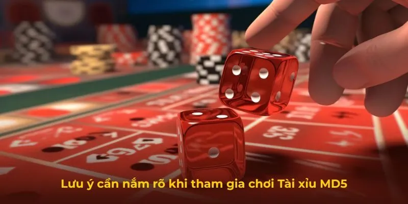 Lưu ý cần nắm rõ khi tham gia chơi Tài xỉu MD5