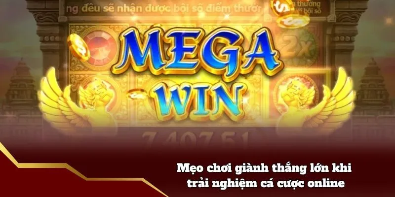 Mẹo chơi giành thắng lớn khi trải nghiệm cá cược online