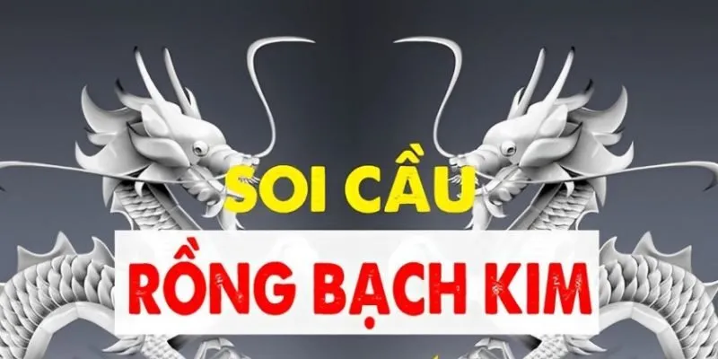 Rồng bạch kim ngày hôm nay có gì hot