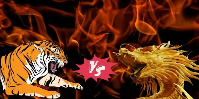 Những lưu ý khi tham gia rồng hổ có bịp không hiện nay
