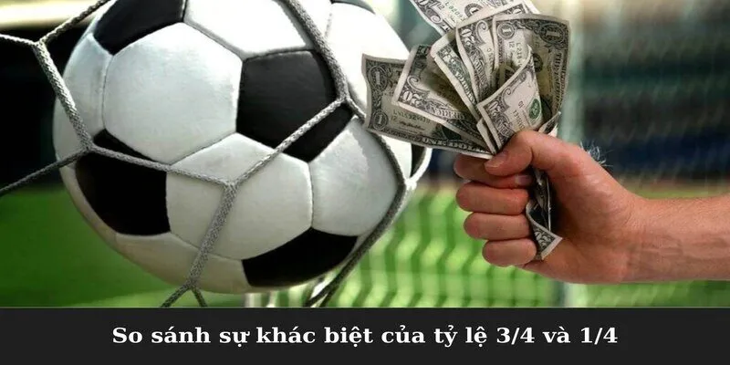 So sánh sự khác biệt của tỷ lệ 3/4 và 1/4